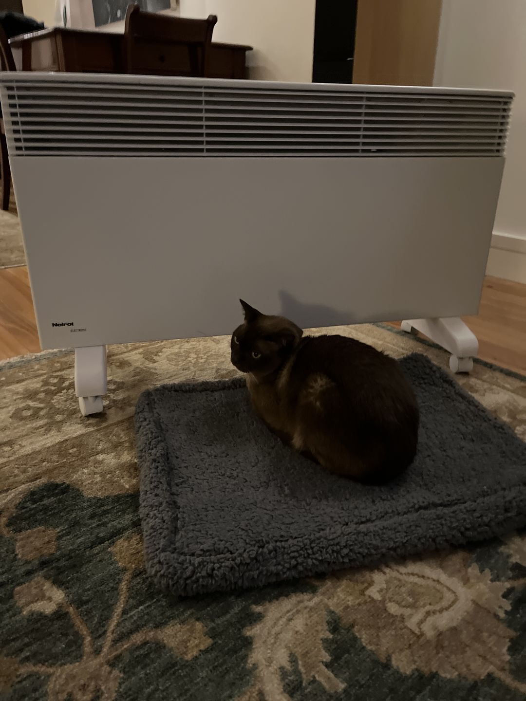 Customer photo review of Winter Cover for Kangaroo Bed