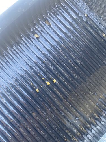 Customer photo review of Dutchman's 'SECRET NUGGET' Gold Paydirt - Gold Prospecting Concentrate