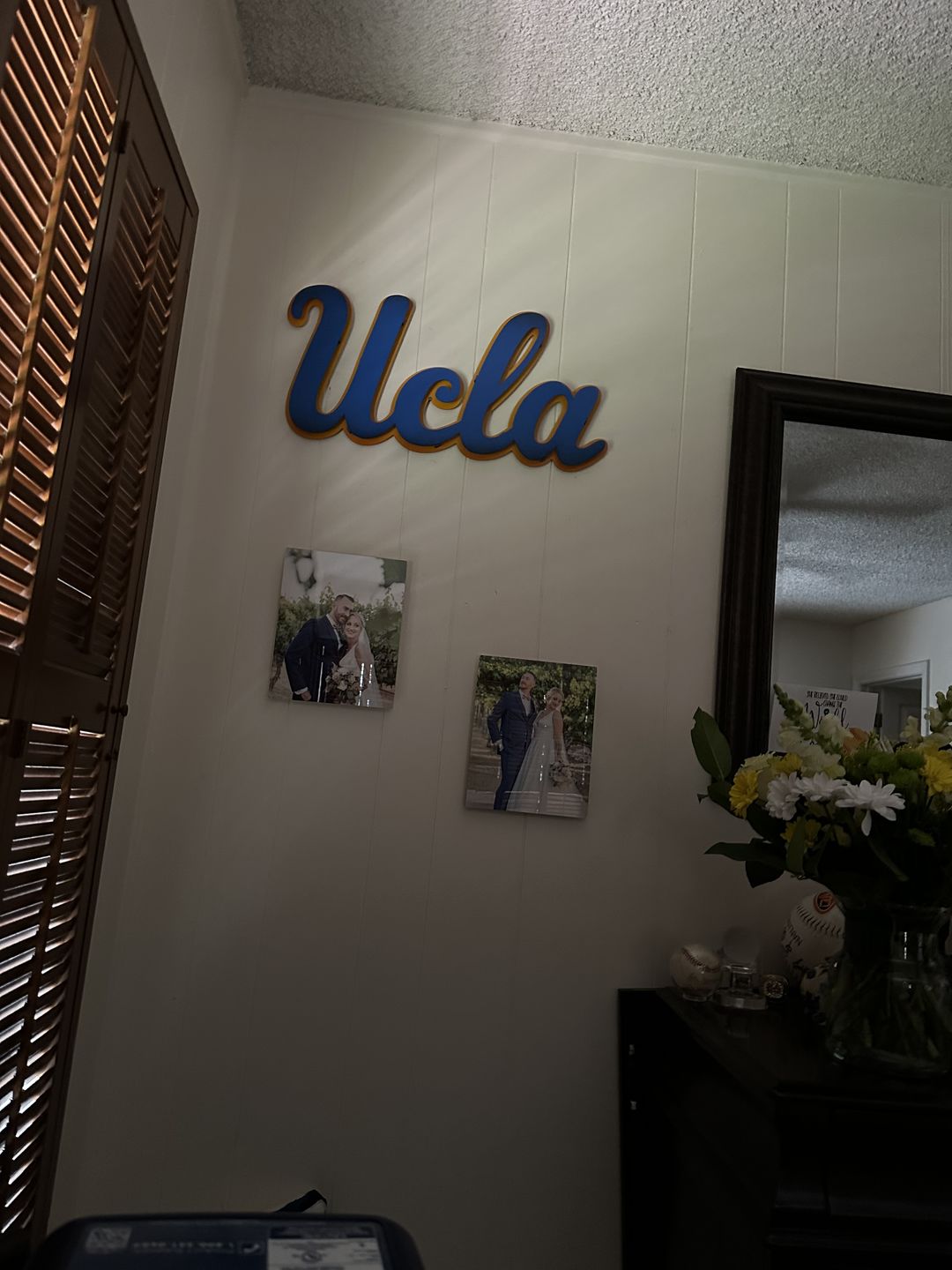 Customer photo review of Prototype Ucla