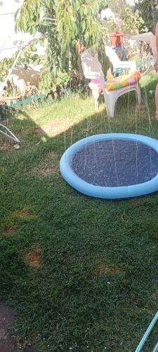 Customer photo review of DogFri™ Splash - Forfriskende Sprinkler til Hunde