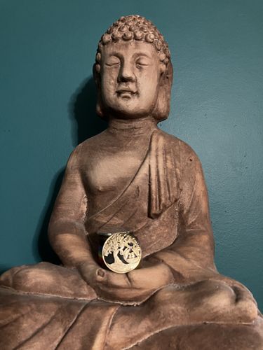 Customer photo review of 35 Year Sobriety Mint Twisted Tree of Life Gold Plated AA Recovery Medallion - Thirty-Five Year Chip/Coin - Black