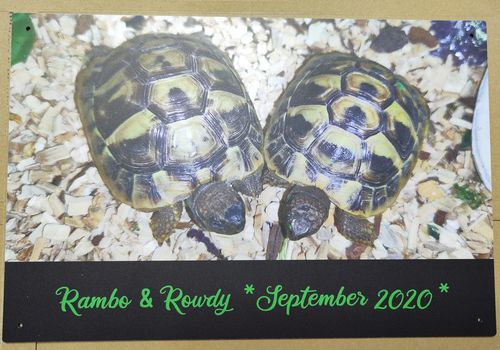 Customer photo review of Personalisierbares -Foto- Schild mit Text