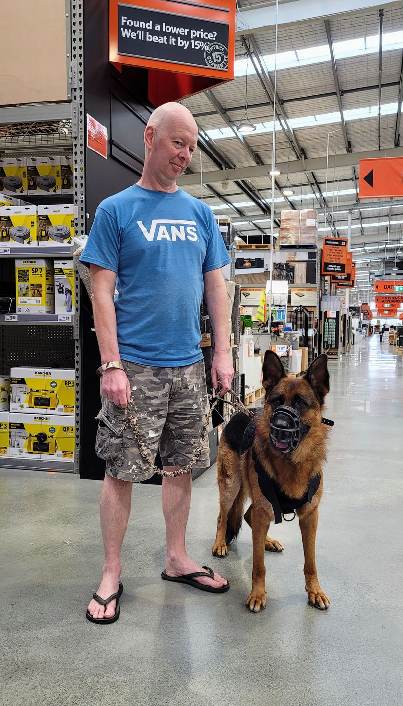 Customer photo review of Heavy-Duty Double-Handle Tactical Bungee K9 Dog Leash