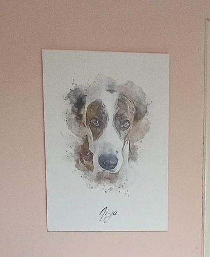 Customer photo review of Πορτραίτο Κατοικίδιου - Νερομπογιά