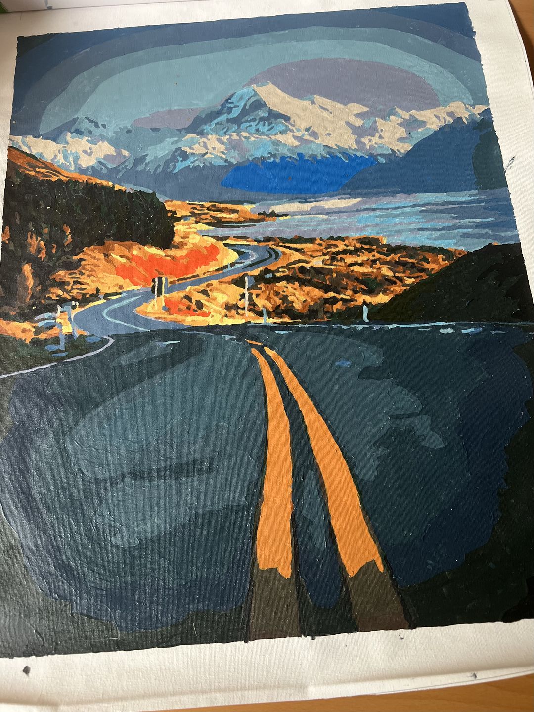 Customer photo review of Aoraki Mount Cook