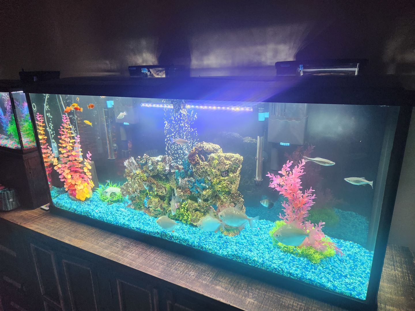 Customer photo review of Seachem Purigen