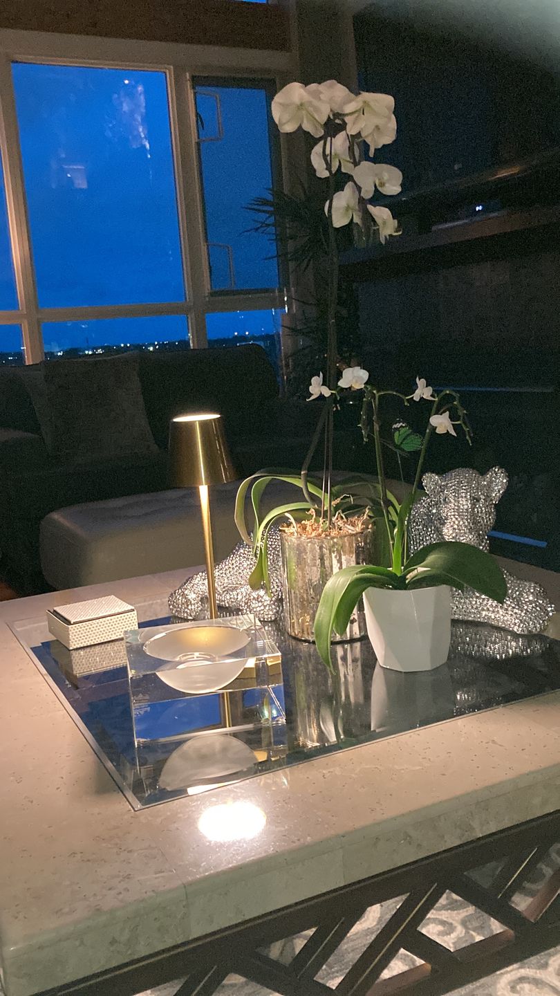Customer photo review of Luminara™