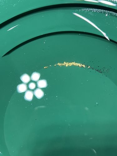 Customer photo review of Elite 'NUGGET CHASE' - Gold Panning Paydirt Concentrate