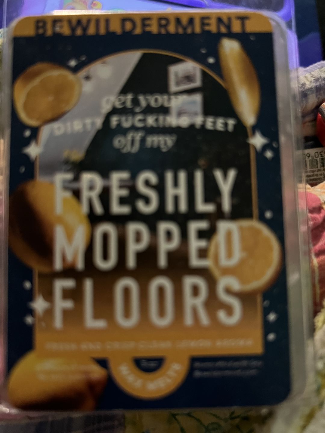 Customer photo review of Freshly Mopped Floors Wax Melts