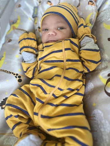 Customer photo review of Satin Case for Infant Nest (case only)