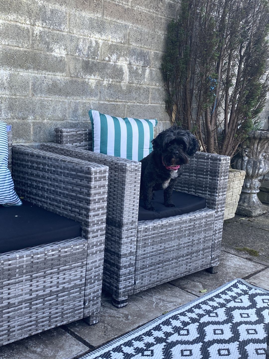 Customer photo review of Corfu 2 Piece Rattan Seat Pad Set