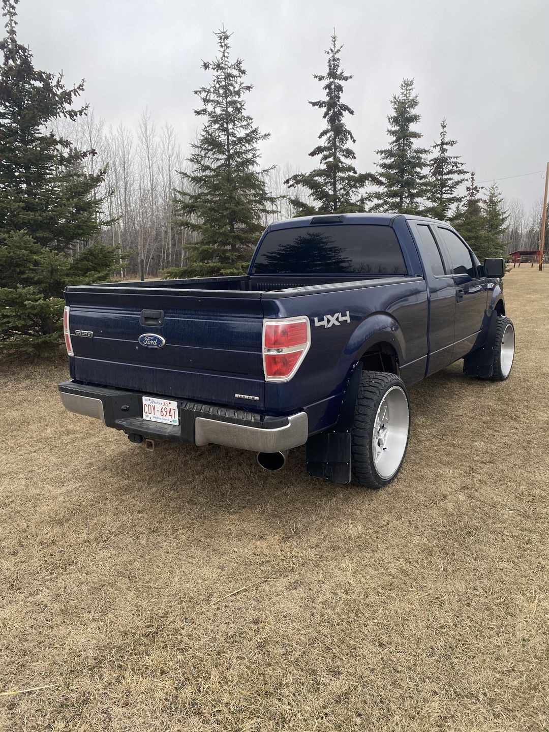 Customer photo review of Trigger Industries Standard Height Mud Flaps