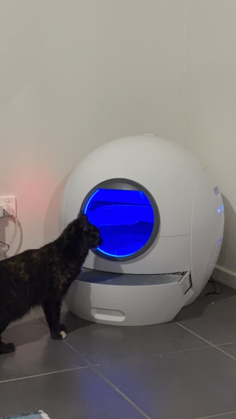 Customer photo review of PaWz Automatic Smart Cat Litter Box