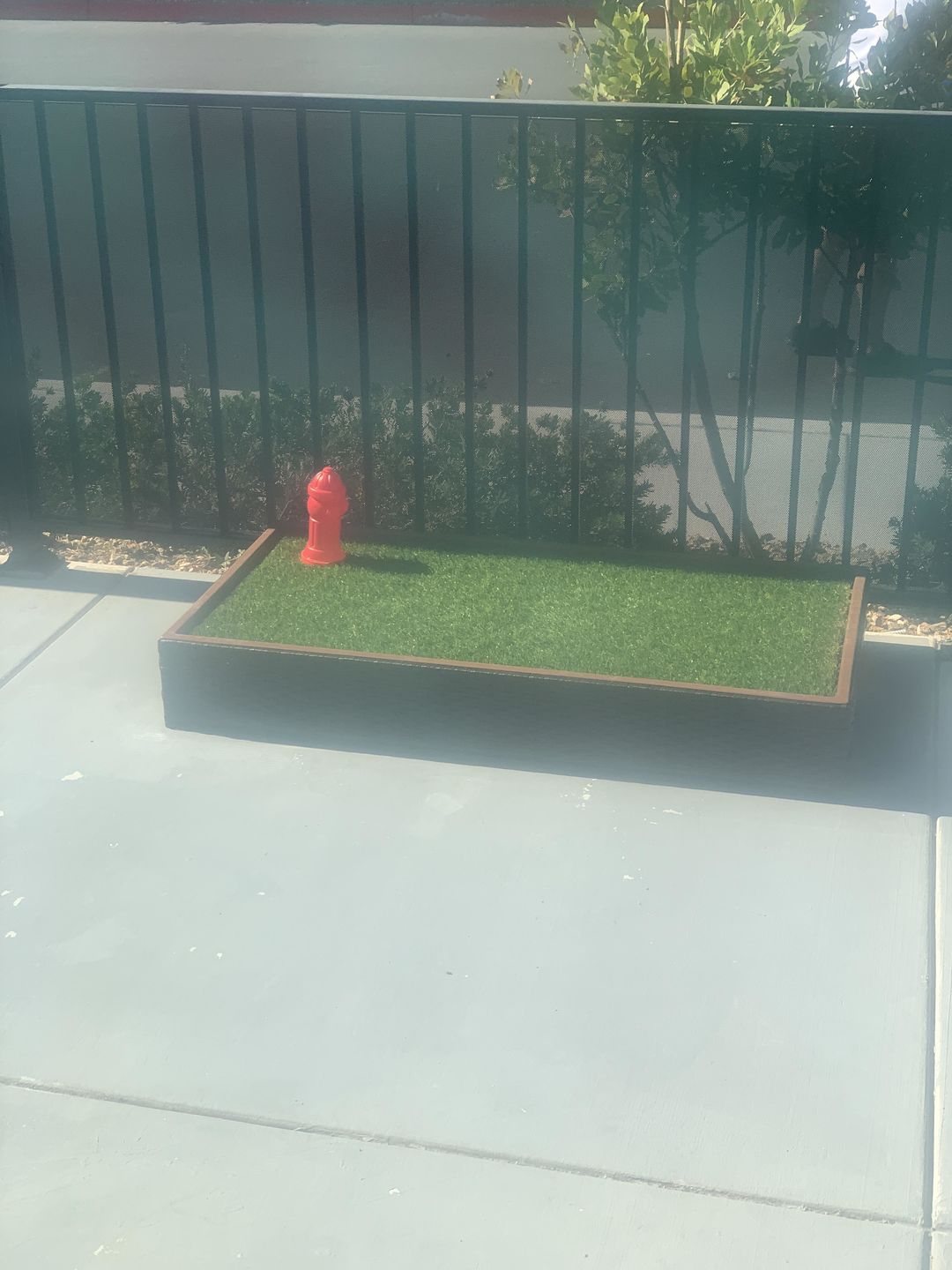 Customer photo review of Porch Potty Standard