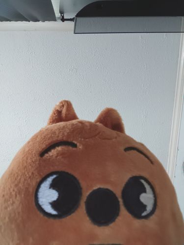 Customer photo review of Stray Kids SKZOO Plushie