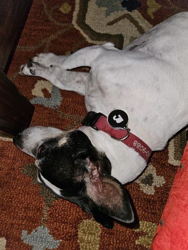 Customer photo review of Black