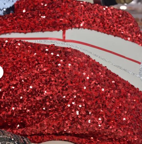 Customer photo review of Red Sequin on Velvet
