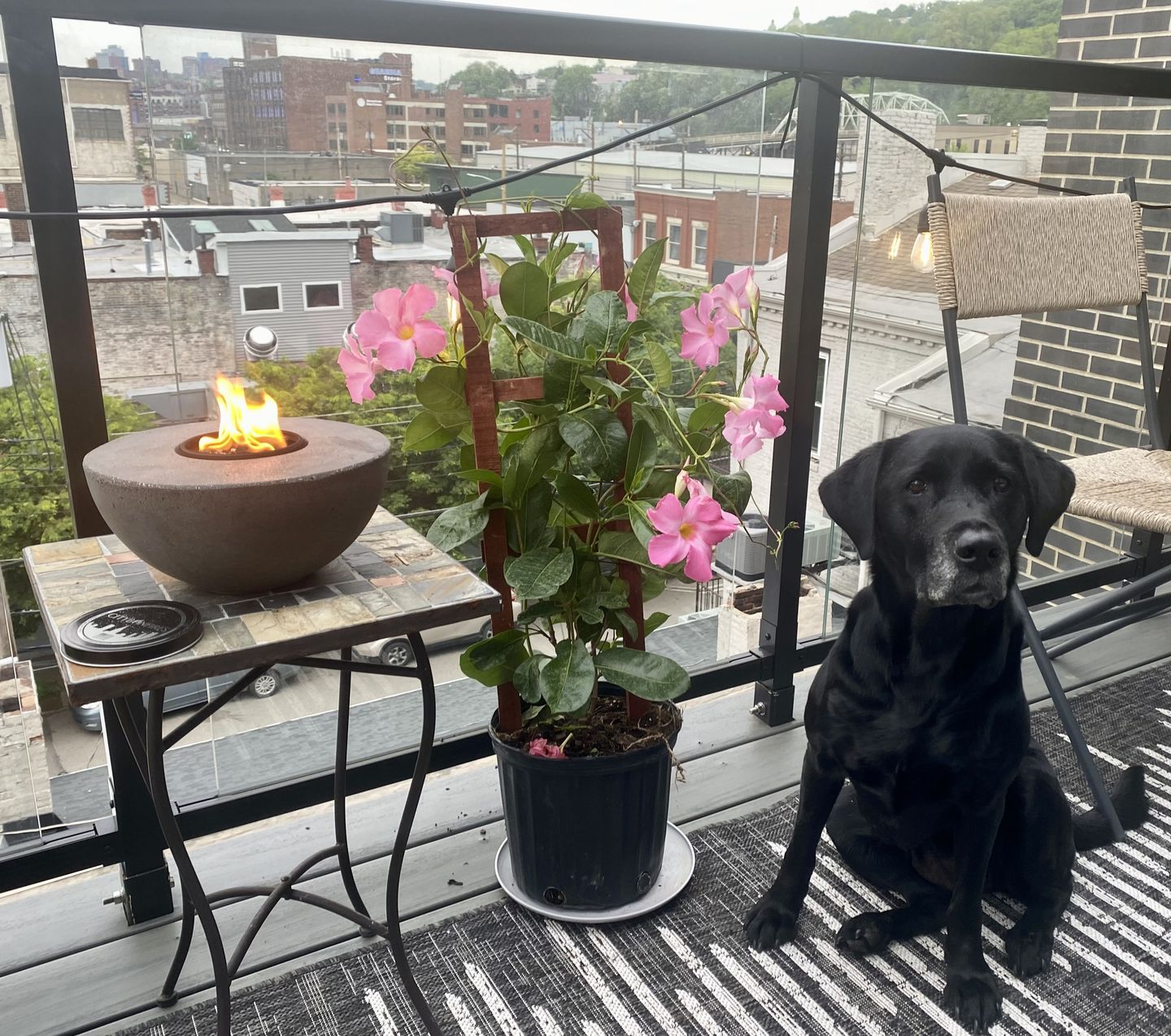 Customer photo review of Concrete Semi-Round Fire Pit