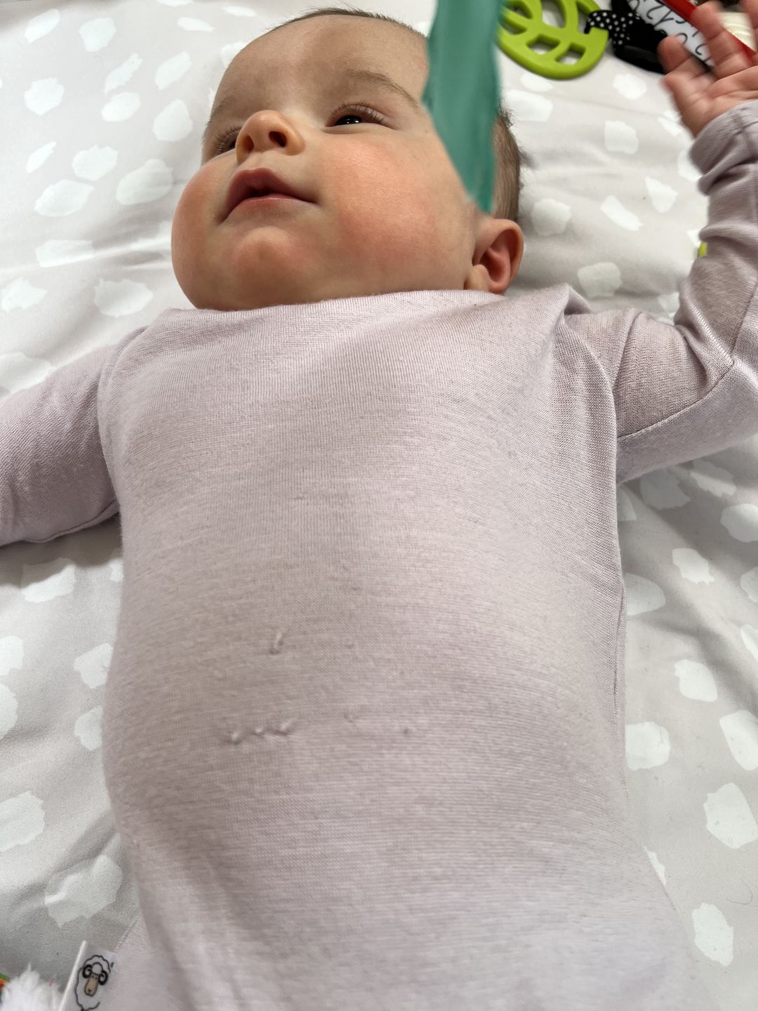 Customer photo review of Baby Bodysuit, Long Sleeve, Merino Wool, Blush