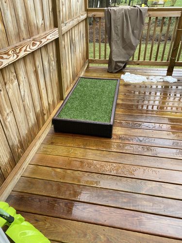 Customer photo review of Synthetic Grass for Porch Potty