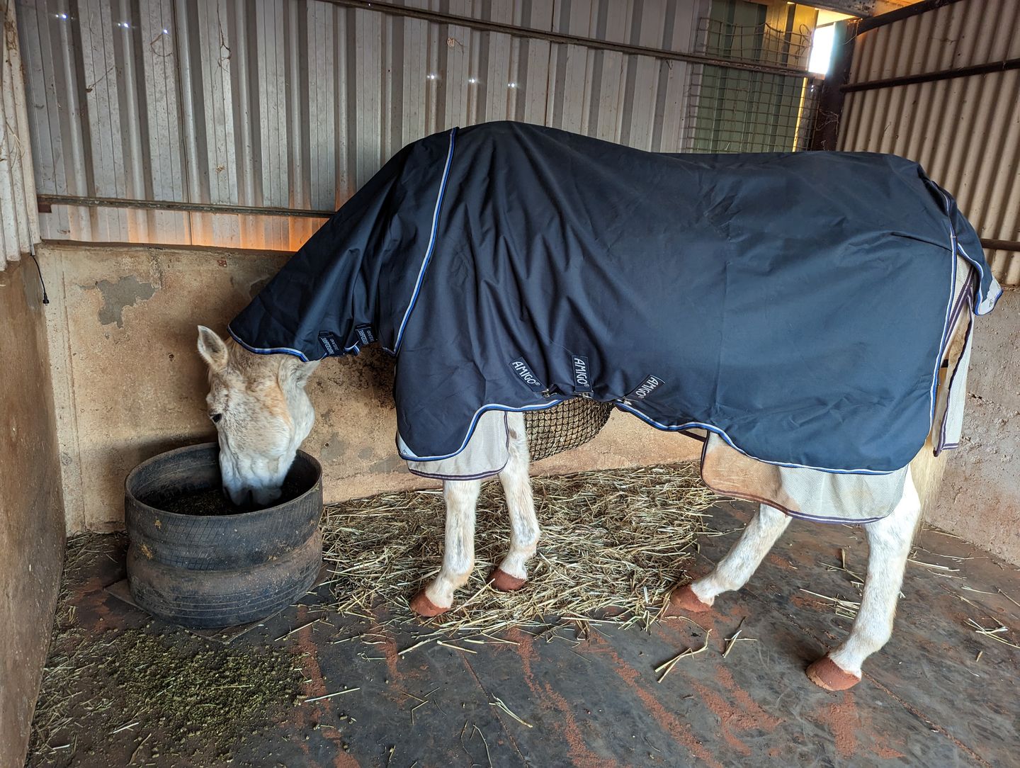 Customer photo review of Horseware Liner 100g