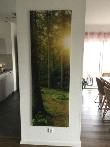 Customer photo review of Acrylglasbild | Wald mit Sonnenstrahlen No.2 | Panoramahochformat