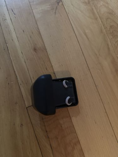 Customer photo review of 14mm Silver Two Row Iced Hoop CZ Earrings