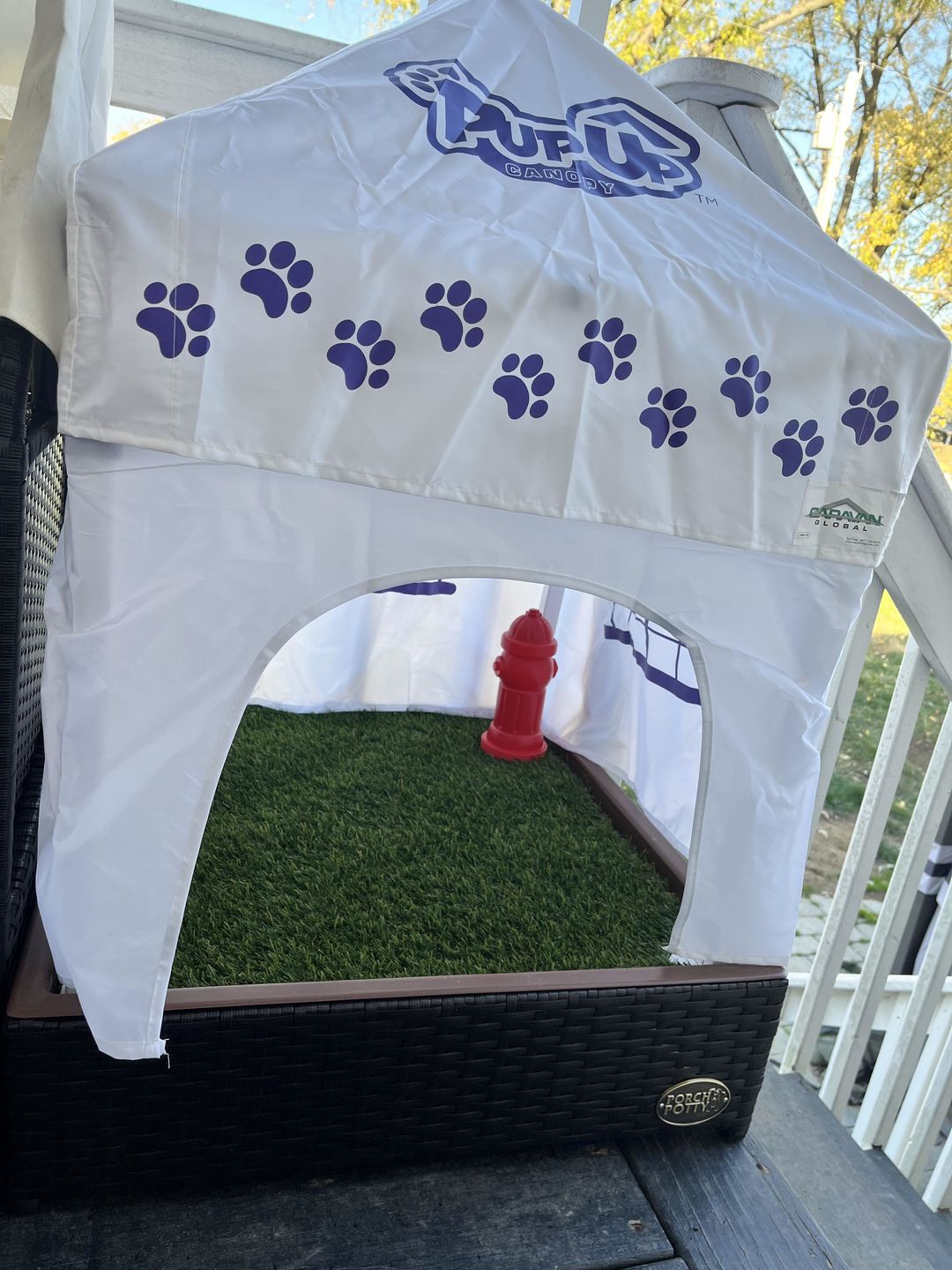 Customer photo review of Small Porch Potty