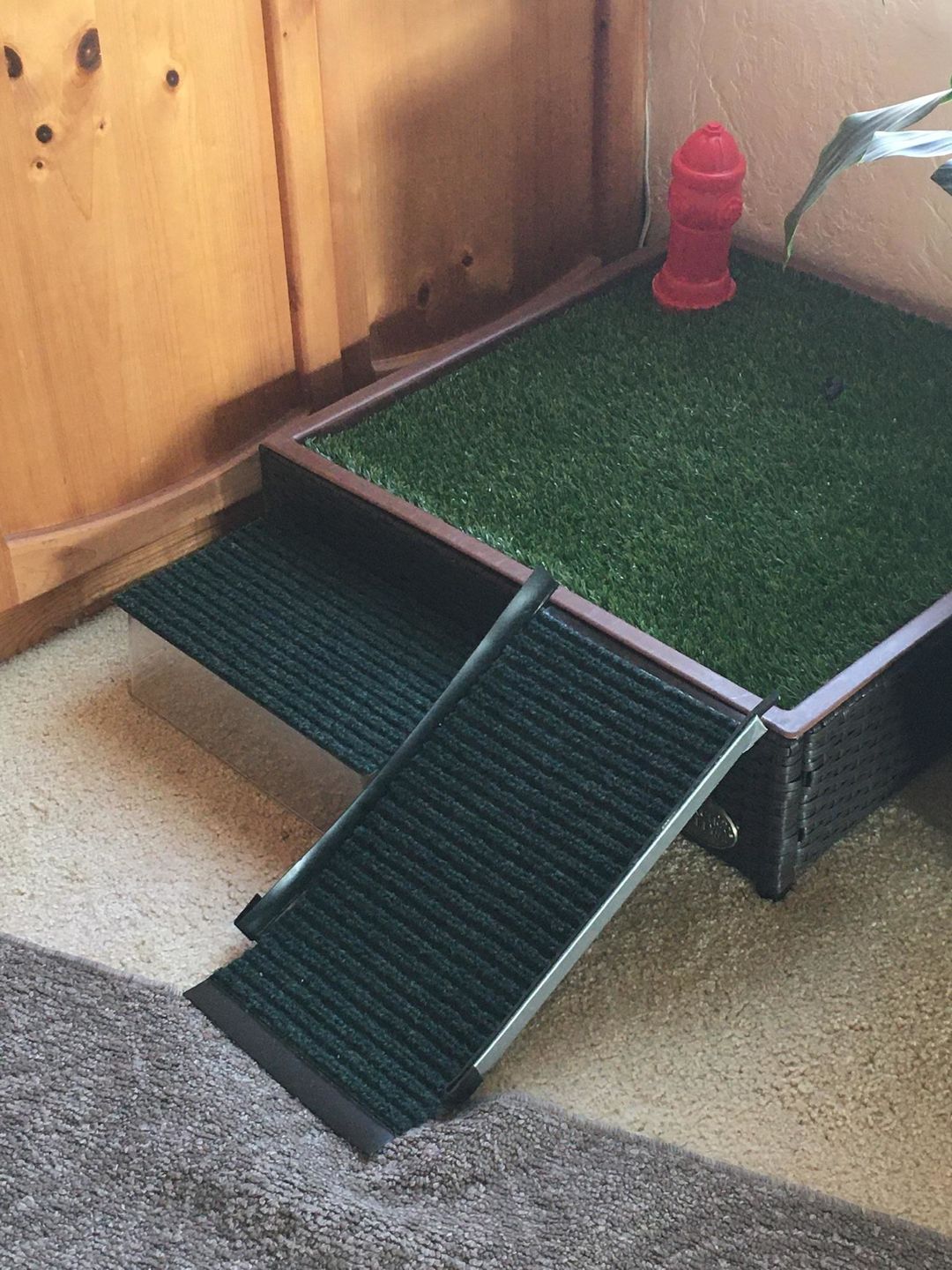 Customer photo review of Small Porch Potty