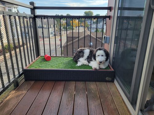 Customer photo review of Porch Potty Standard