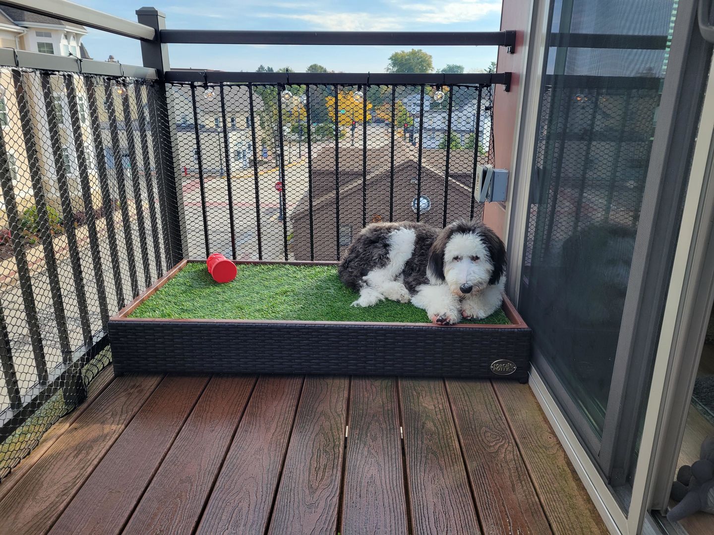 Customer photo review of Porch Potty Standard