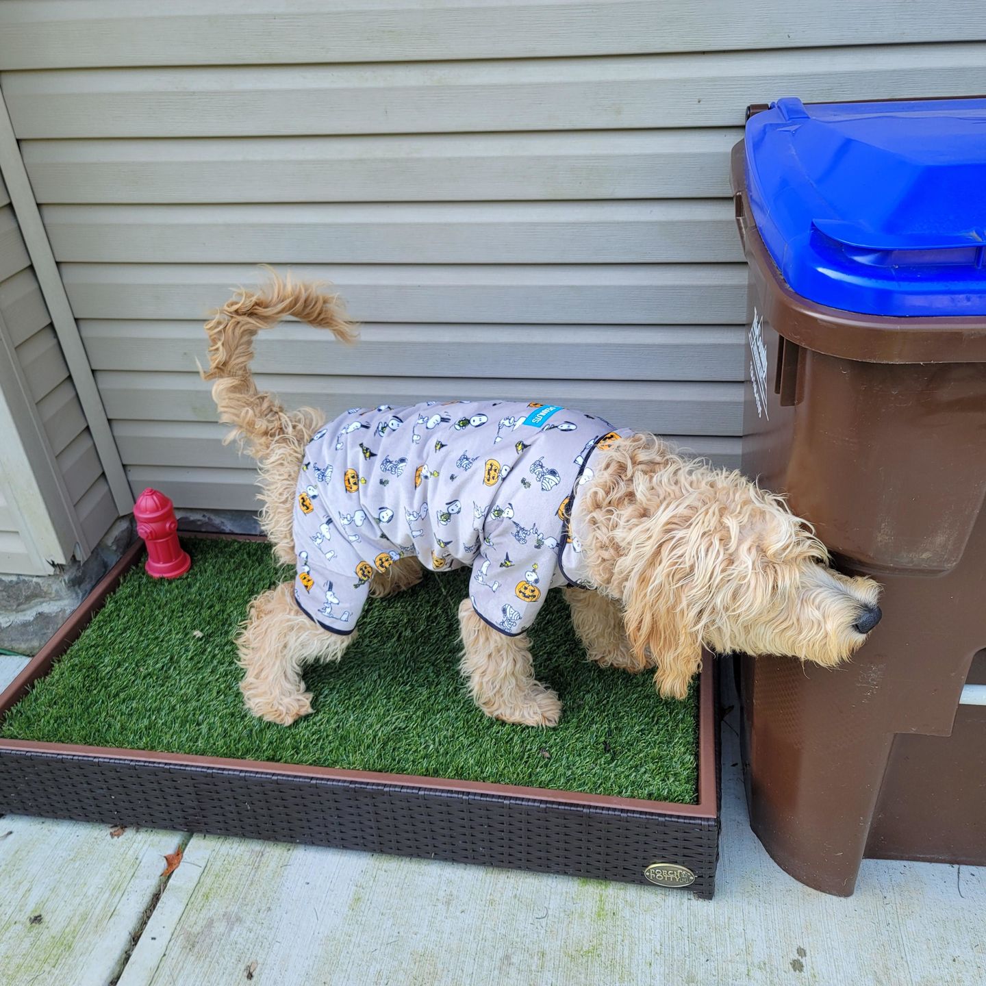 Customer photo review of Porch Potty Standard