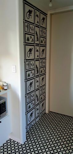 Customer photo review of Mad Dogs Wallpaper