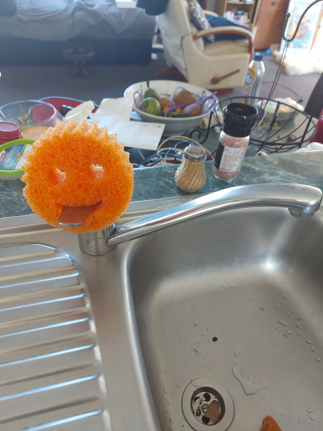 Customer photo review of Scrub Daddy Family (6 Pack)