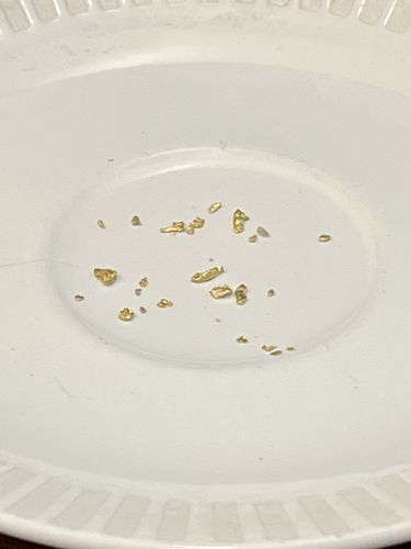 Customer photo review of Nugget Reserve 'MUSEUM SPECIMEN CHASE' - Gold Panning Paydirt Concentrate
