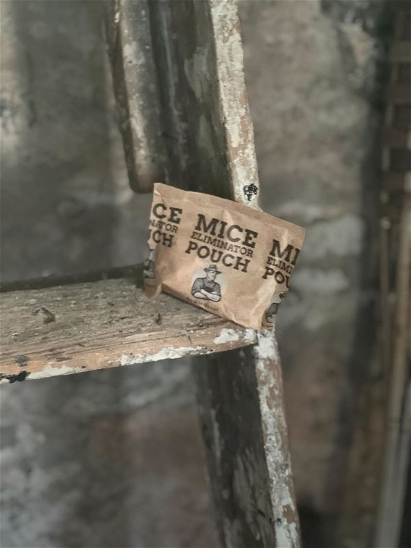 Customer photo review of Mice Eliminator Pouches