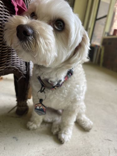 Customer photo review of Explorer Silicone