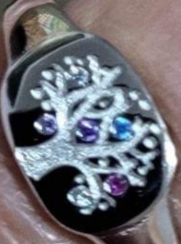 Customer photo review of PERSONALIZED 1-6 BIRTHSTONES RING-OUR FAMILY ROOTS REMAIN AS ONE