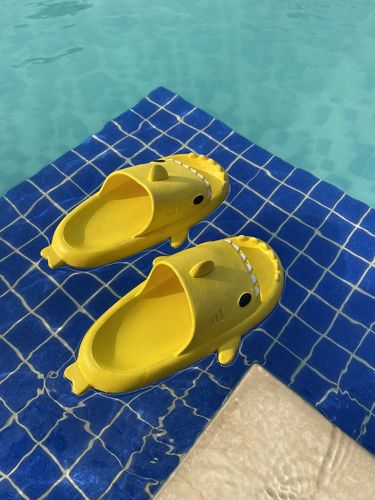Customer photo review of The Original Shark Slides