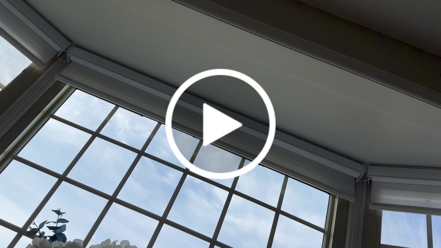 Customer video review of SmartWings Motorized Zebra Shades 60% Blackout Translucent 75mm Eloise
