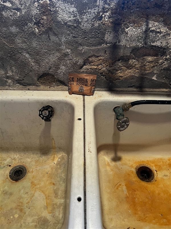 Customer photo review of Mice Eliminator Pouches