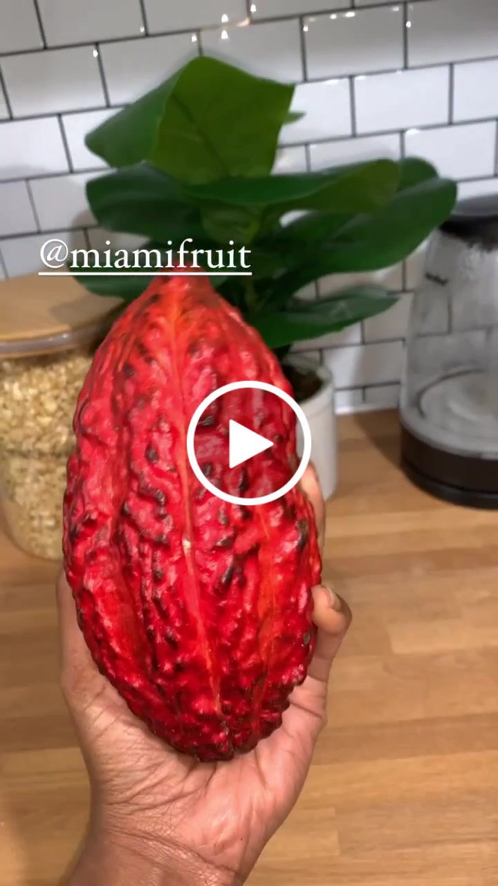 Customer video review of Cacao (Chocolate) Box