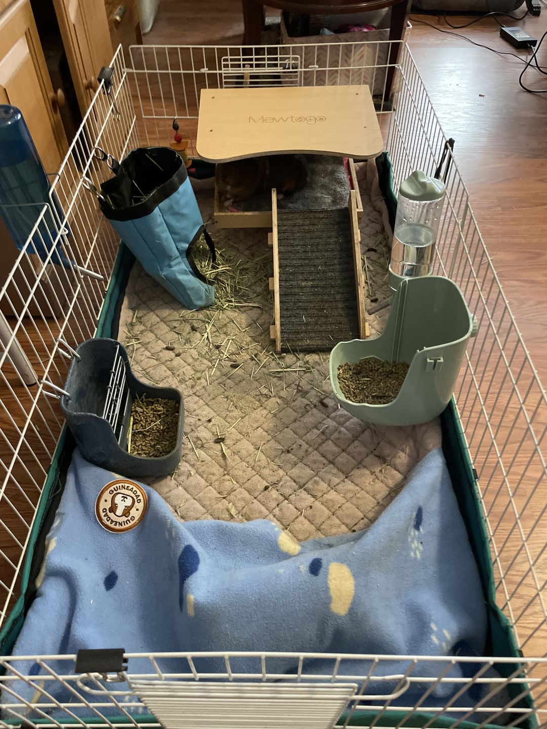Customer photo review of Premium GuineaDad Liner