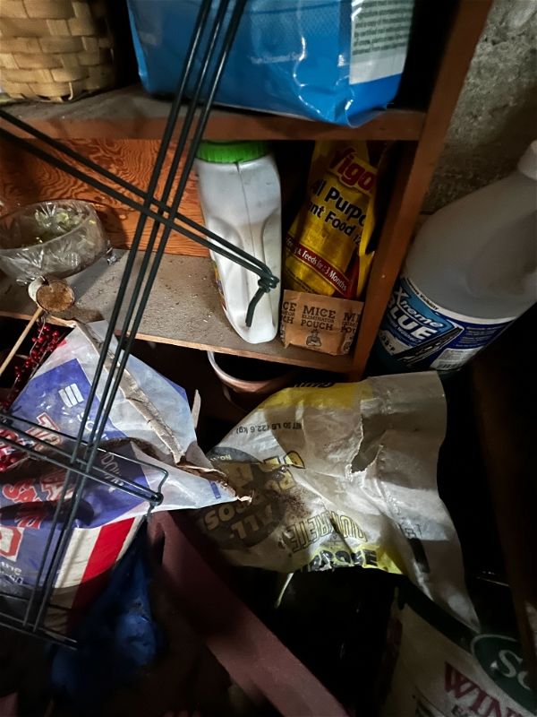Customer photo review of Mice Eliminator Pouches