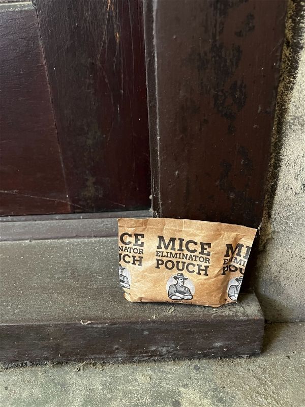 Customer photo review of Mice Eliminator Pouches