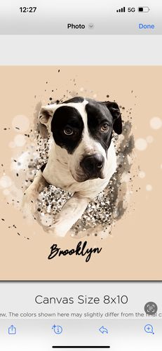 Customer photo review of Personalized Pet Art - Canvas