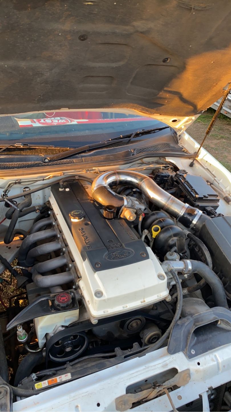 Customer photo review of Bends - Stainless Steel Elbows