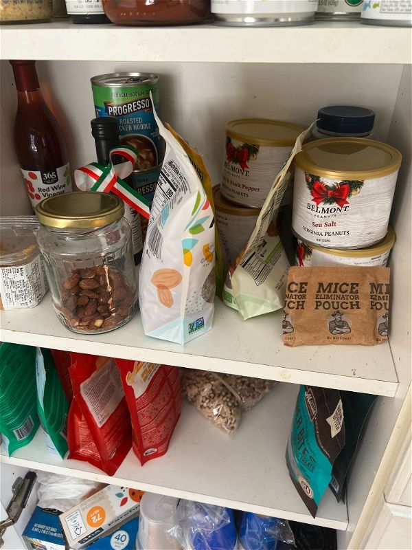 Customer photo review of Mice Eliminator Pouches