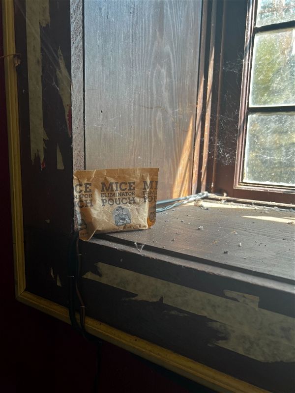 Customer photo review of Mice Eliminator Pouches