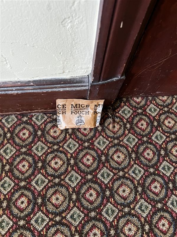 Customer photo review of Mice Eliminator Pouches